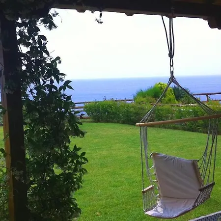 Andy's Place ιι * Kalandra
