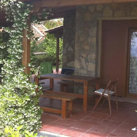 Andy's Place ιι *
